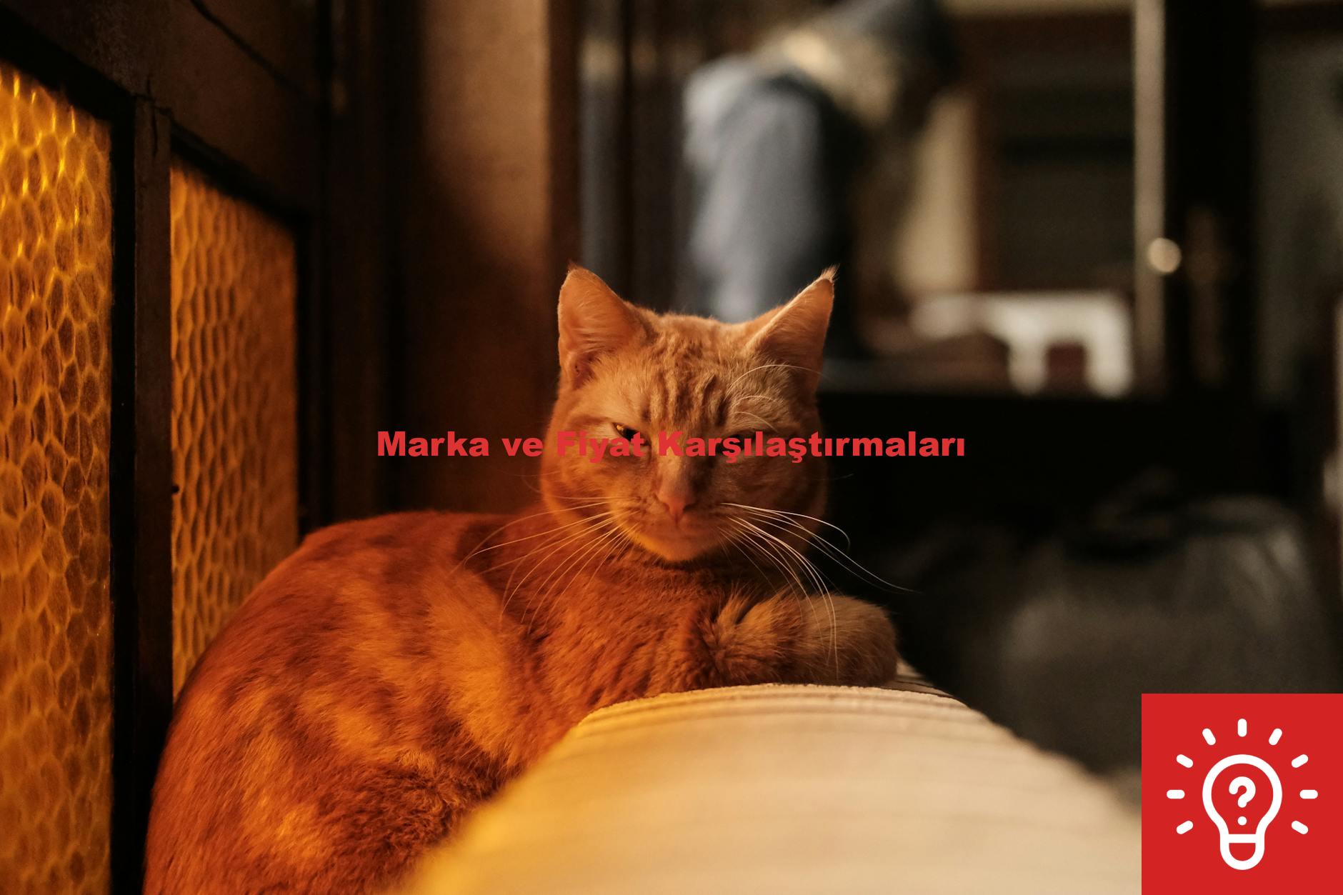 Marka ve Fiyat Karşılaştırmaları